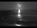 Tommy Portugal - Amor Incomparable (letra)