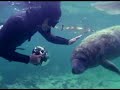 Choice for Change (Help stop manatee abuse)