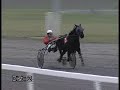 Horse Race - CRISTY EST PARTIE - Prix des Espoirs - Mons 081225