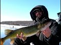 Ice Fishing / Shook Me Ice Fishing / Shook Me