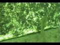 Quebec Video