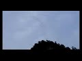 Bats and Bach in Borneo caves