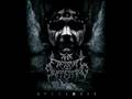 The Eternal Suffering - Assail The Creation