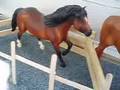 Golden Oak Stables ~ep 2~