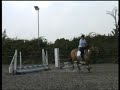 Tucker and Me Team Jumping