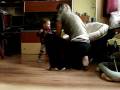 videos de maluchy