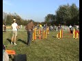 ikita en agility septembre 2008