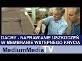 Oglądaj film