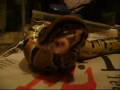 Tag eating again LIVE FEEDING!! Tag eating again LIVE FEEDING!!