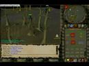 zezima in world 47