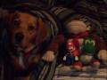videos de My Dog Carmen
