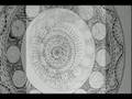 Microcosmic/Daevid Allen: Laxman Jewel