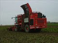 Bettraves 2007