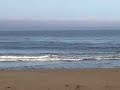 Santa Cruz Trip - whales, starfish, and a hippie Santa Cruz Trip - whales, starfish, and a hippie