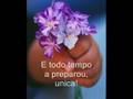 A page is turned - Bebo Norman