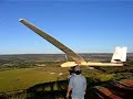 O gigante de 6 metros
