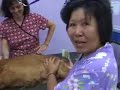 Pet Grooming School - Mobile Grooming Class