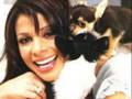 Paula Julie Abdul tribute!! =)