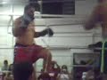 LUTA DE MUAY THAI {WASP} FRUTAL MG
