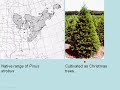 Brief species overview of eastern...