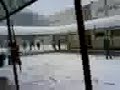 nieve 4 guerra d bolas en el patioo nieve 4 guerra d bolas en el patioo