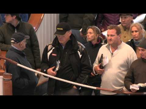 Tattersalls October Yearling Sale Book 1 Day 3 Review