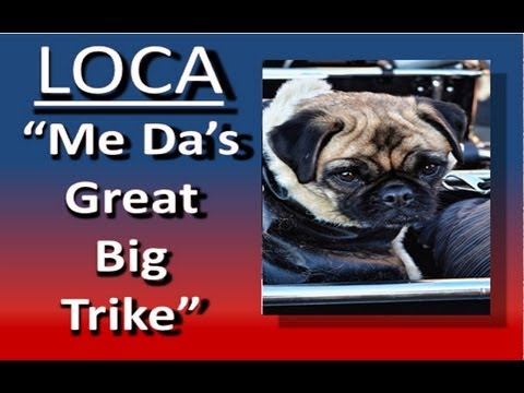 loca the pug lyrics pug sings the blues again no kidz allowed loca the pug lyrics pug sings the blues again no kidz allowed