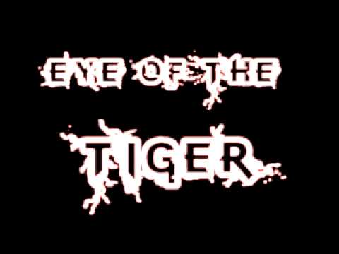 tiger %