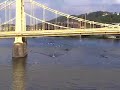 TRRA "Row Down"