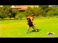 videos de Sognare te