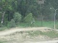random jump at reedy