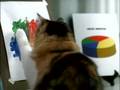 Staples: Copy Cat