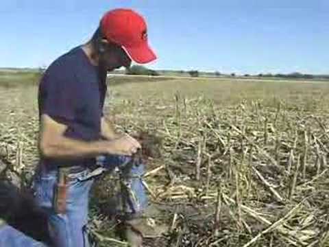 Kansas Farm Bureau 2006 Natural ...