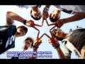 SS501 - Promise to promise [Sub & Romanji]