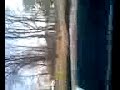 Video012