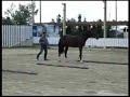 Back Stepping 3