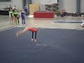 rebecca clark - 2008 dragon invitational fx