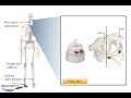 Types of Synovial Joints