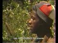 Reportage Cannabis in Jamaica
