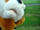 Foxy at Manchester Airport