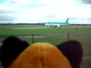 Foxy at Manchester Airport