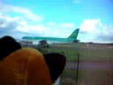 Foxy at Manchester Airport