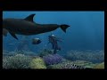 Endless Ocean - Forever Blue Wii (Game Play)