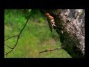 Presentazione del Parco Nazionale dei Monti Sibillini