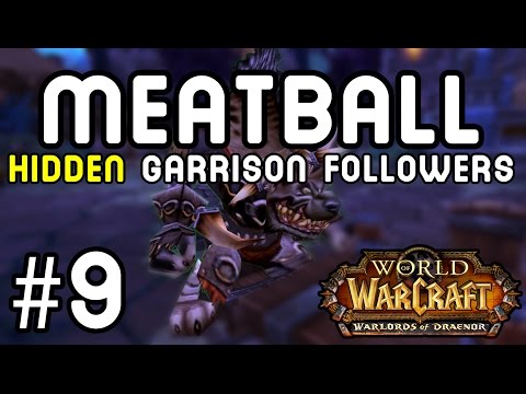 how to collect followers in wow