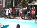 at the pool 2 at the pool 2