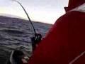 Fiske vilket napp
