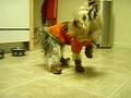 videos de Lukas boots