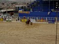 Leana Bragan�a 2007