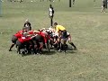 Scrums - Raleigh, 17 Scrums - Raleigh, 17